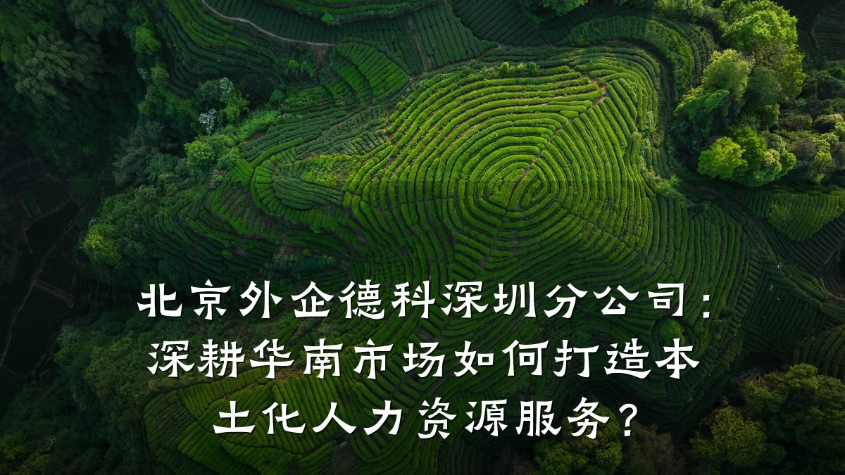 北京外企德科深圳分公司:深耕华南市场如何打造本土化人力资源服务?