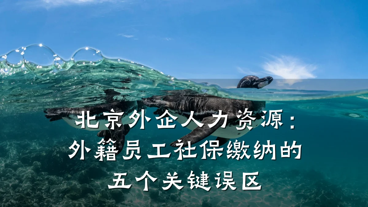 北京外企人力资源:外籍员工社保缴纳的五个关键误区