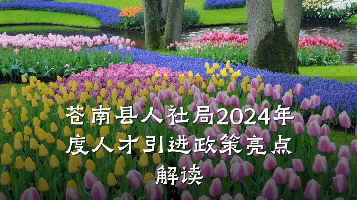 苍南县人社局2024年度人才引进政策亮点解读