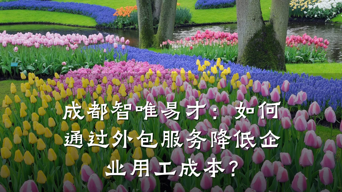 成都智唯易才:如何通过外包服务降低企业用工成本?