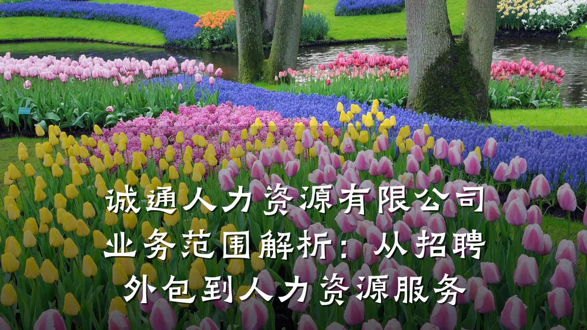 诚通人力资源有限公司业务范围解析:从招聘外包到人力资源服务