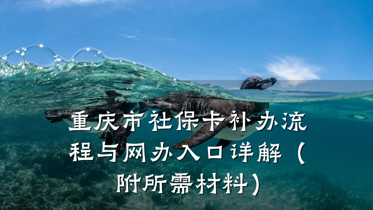 重庆市社保卡补办流程与网办入口详解(附所需材料)