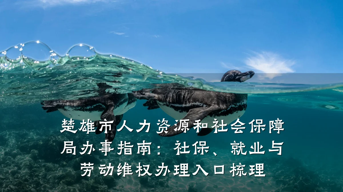 楚雄市人力资源和社会保障局办事指南:社保、就业与劳动维权办理入口梳理