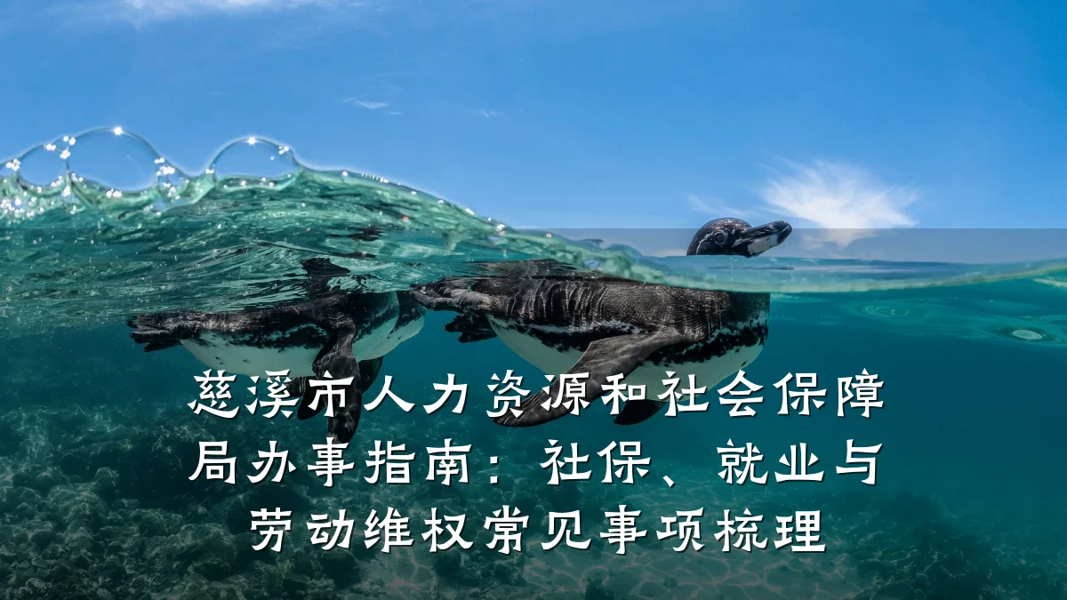 慈溪市人力资源和社会保障局办事指南:社保、就业与劳动维权常见事项梳理