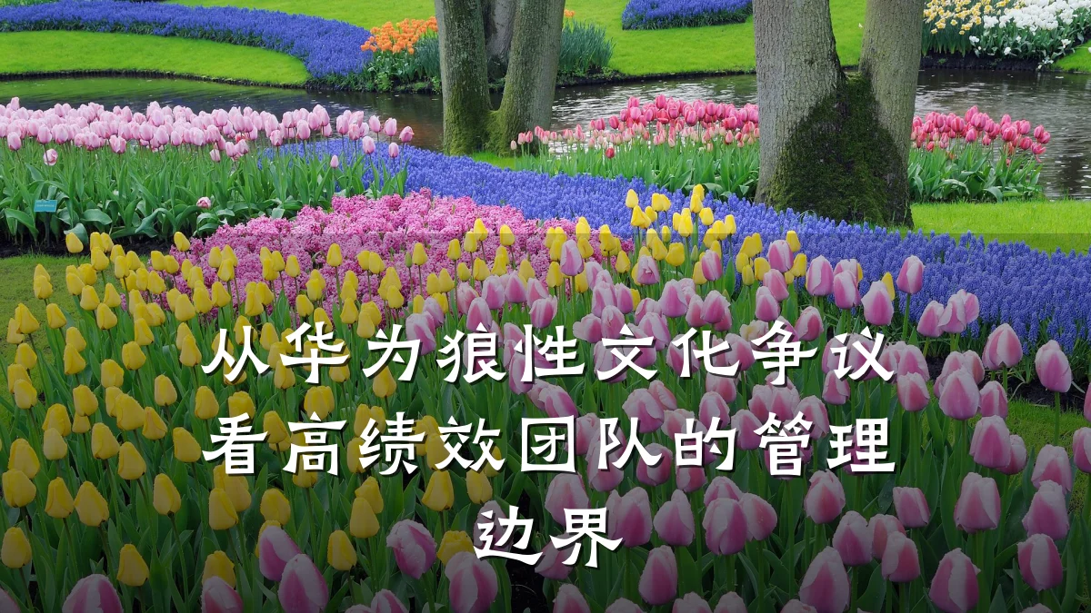 从华为狼性文化争议看高绩效团队的管理边界