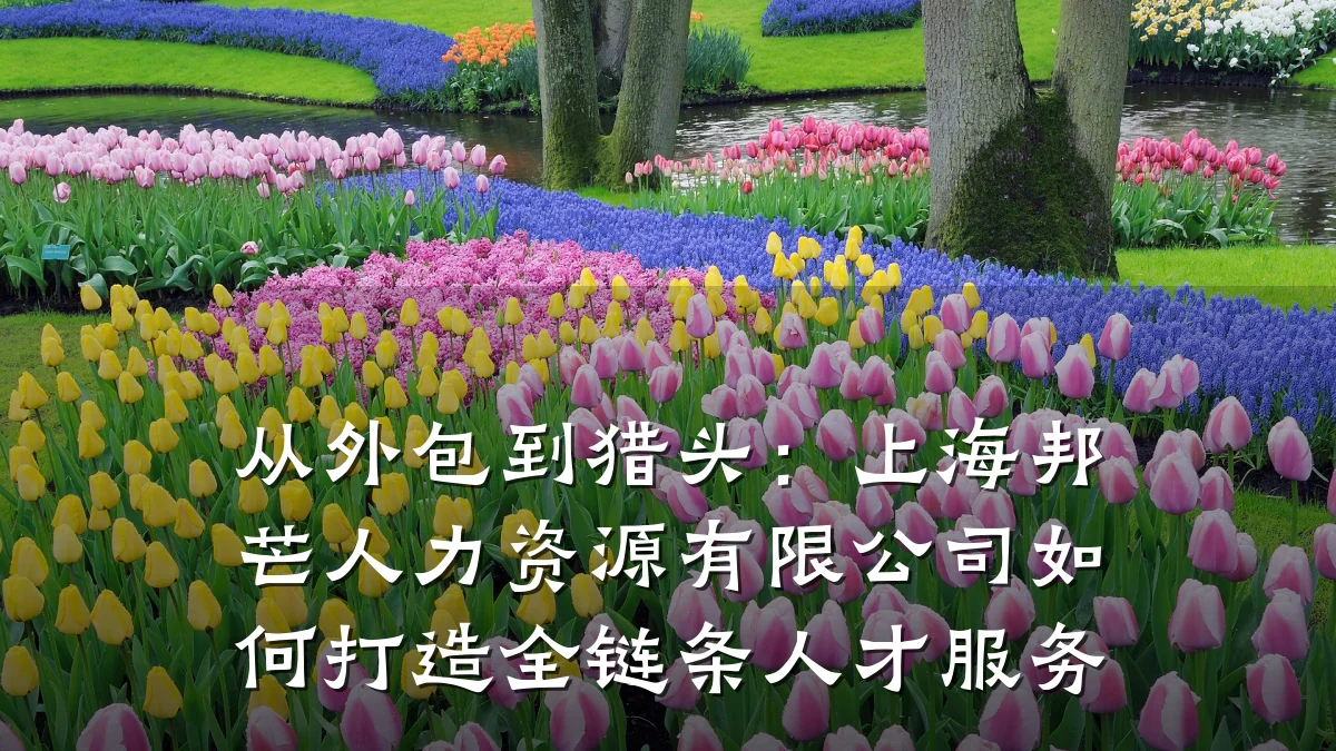 从外包到猎头:上海邦芒人力资源有限公司如何打造全链条人才服务