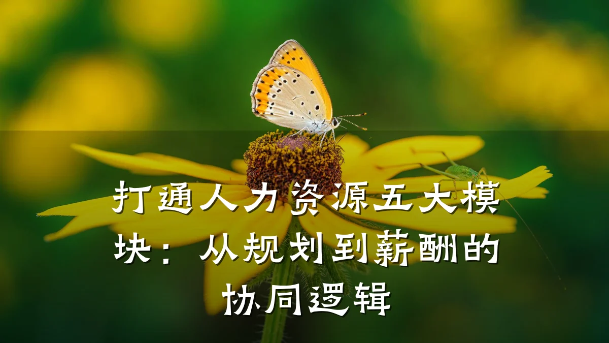 打通人力资源五大模块：从规划到薪酬的协同逻辑