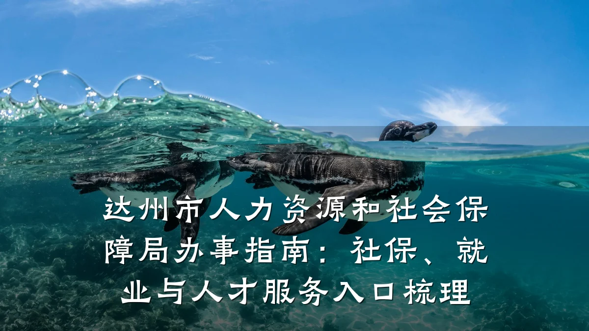 达州市人力资源和社会保障局办事指南:社保、就业与人才服务入口梳理