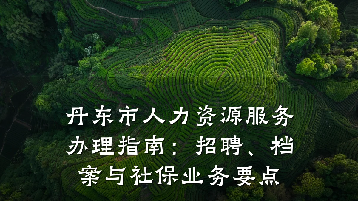 丹东市人力资源服务办理指南:招聘、档案与社保业务要点