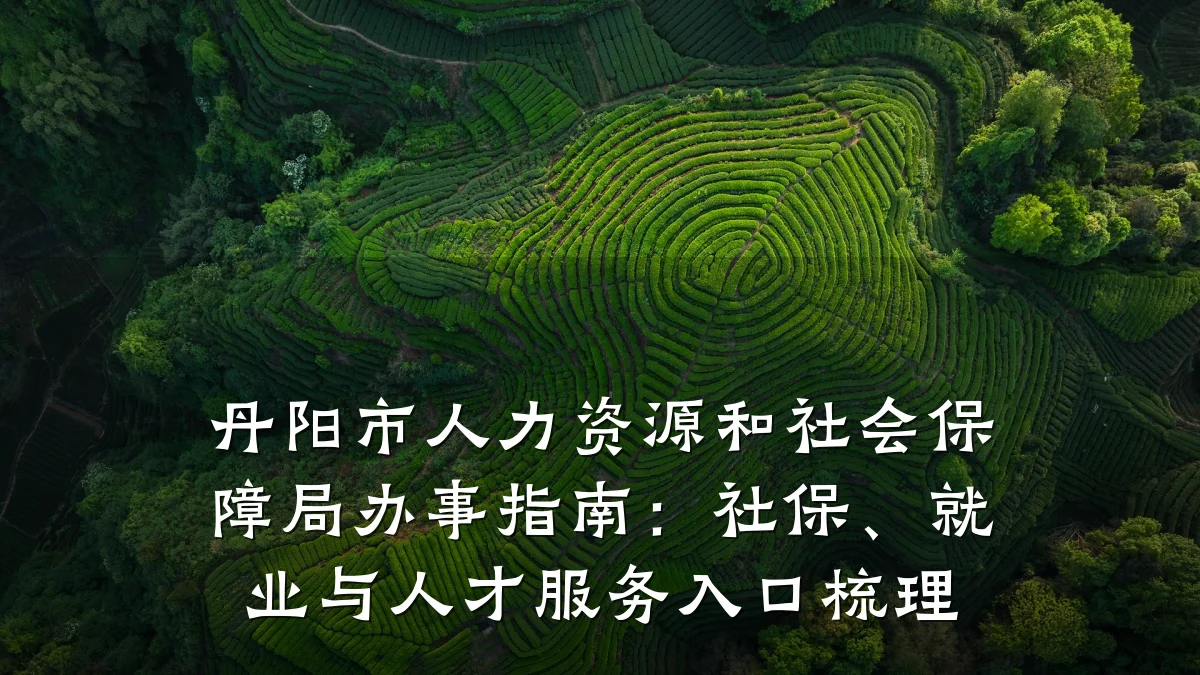 丹阳市人力资源和社会保障局办事指南:社保、就业与人才服务入口梳理