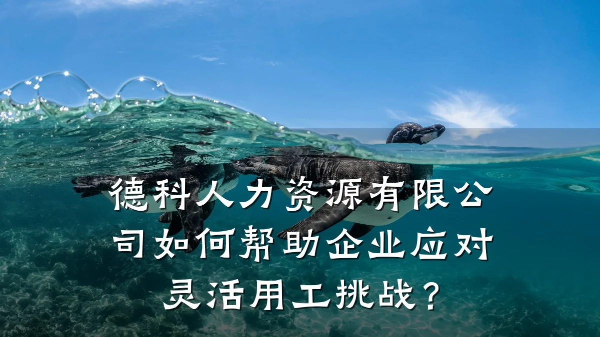 德科人力资源有限公司如何帮助企业应对灵活用工挑战？