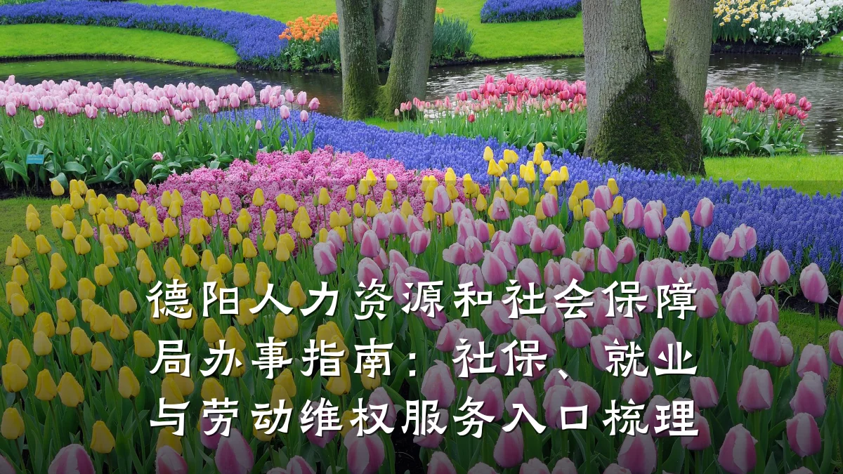 德阳人力资源和社会保障局办事指南:社保、就业与劳动维权服务入口梳理