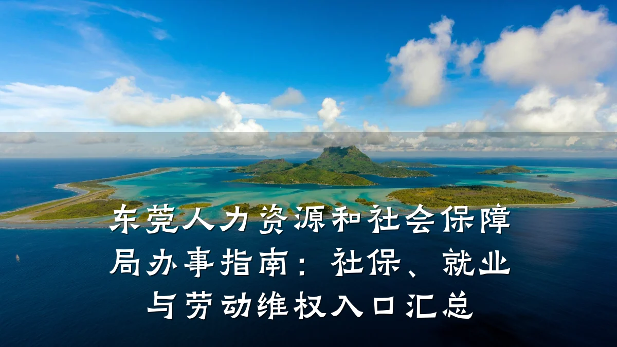 东莞人力资源和社会保障局办事指南:社保、就业与劳动维权入口汇总