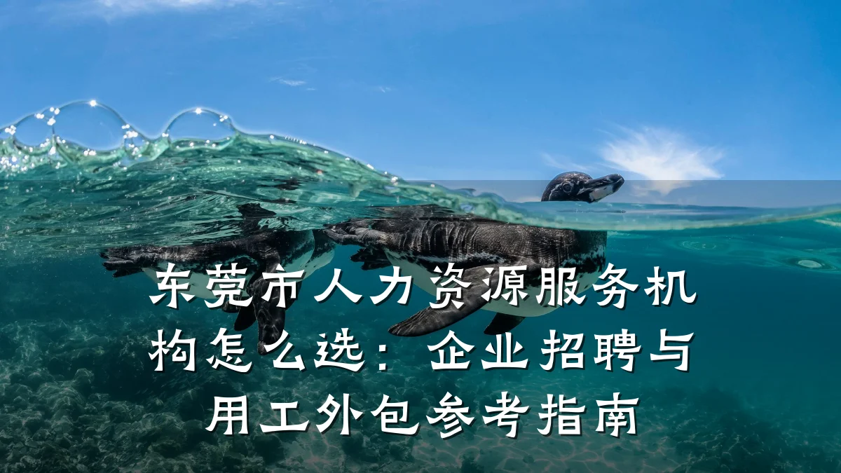 东莞市人力资源服务机构怎么选:企业招聘与用工外包参考指南