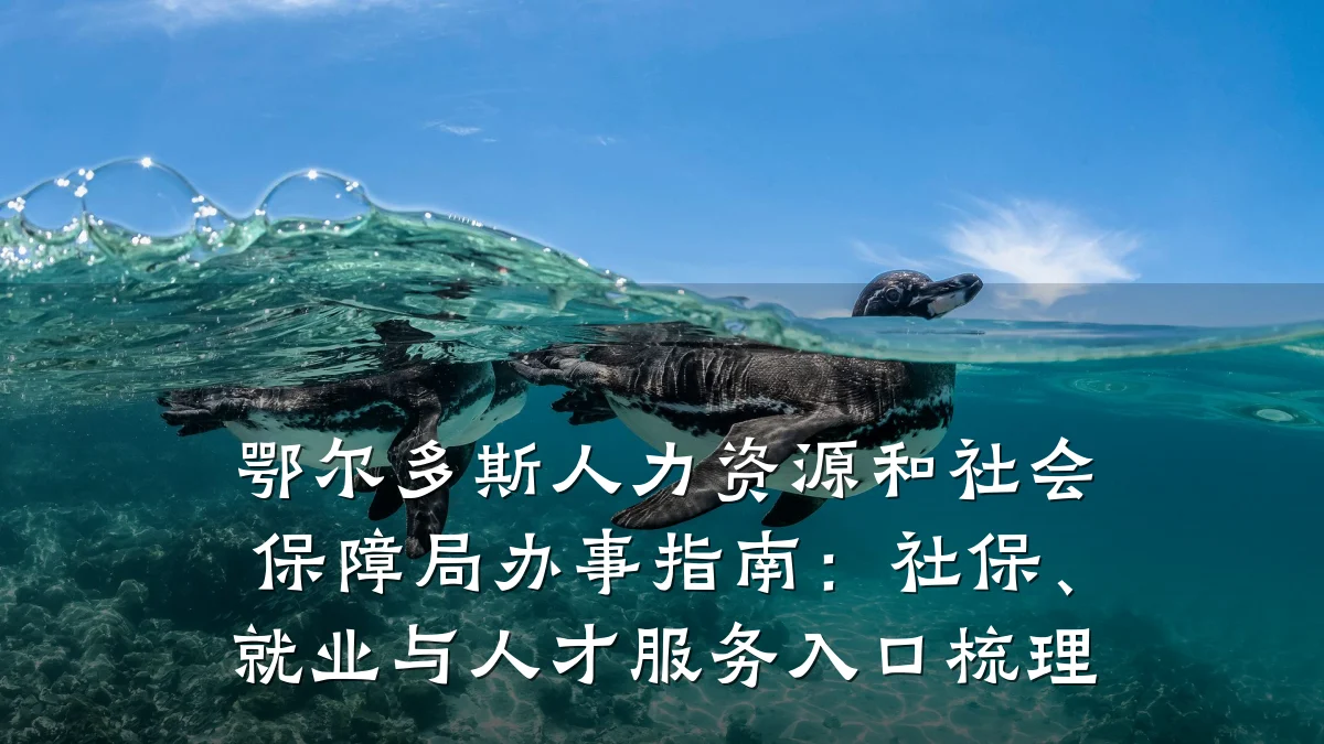 鄂尔多斯人力资源和社会保障局办事指南:社保、就业与人才服务入口梳理