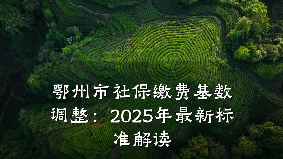 鄂州市社保缴费基数调整:2025年最新标准解读