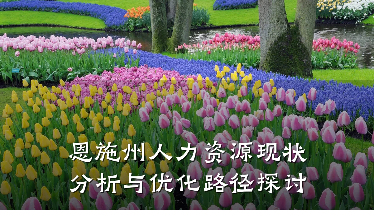 恩施州人力资源现状分析与优化路径探讨