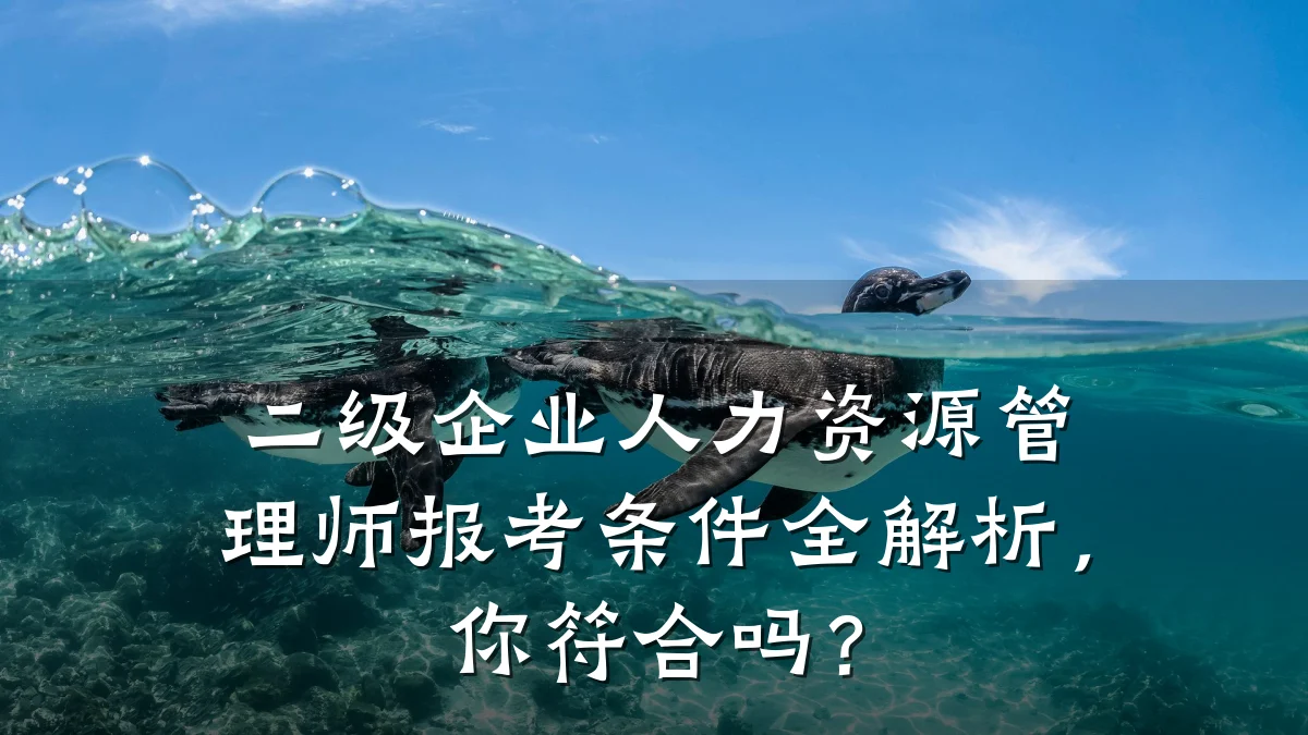 二级企业人力资源管理师报考条件全解析，你符合吗？