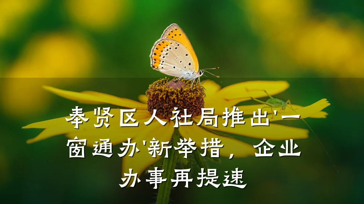 奉贤区人社局推出'一窗通办'新举措,企业办事再提速