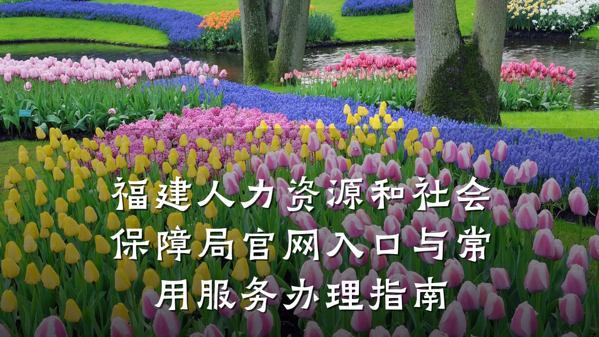 福建人力资源和社会保障局官网入口与常用服务办理指南