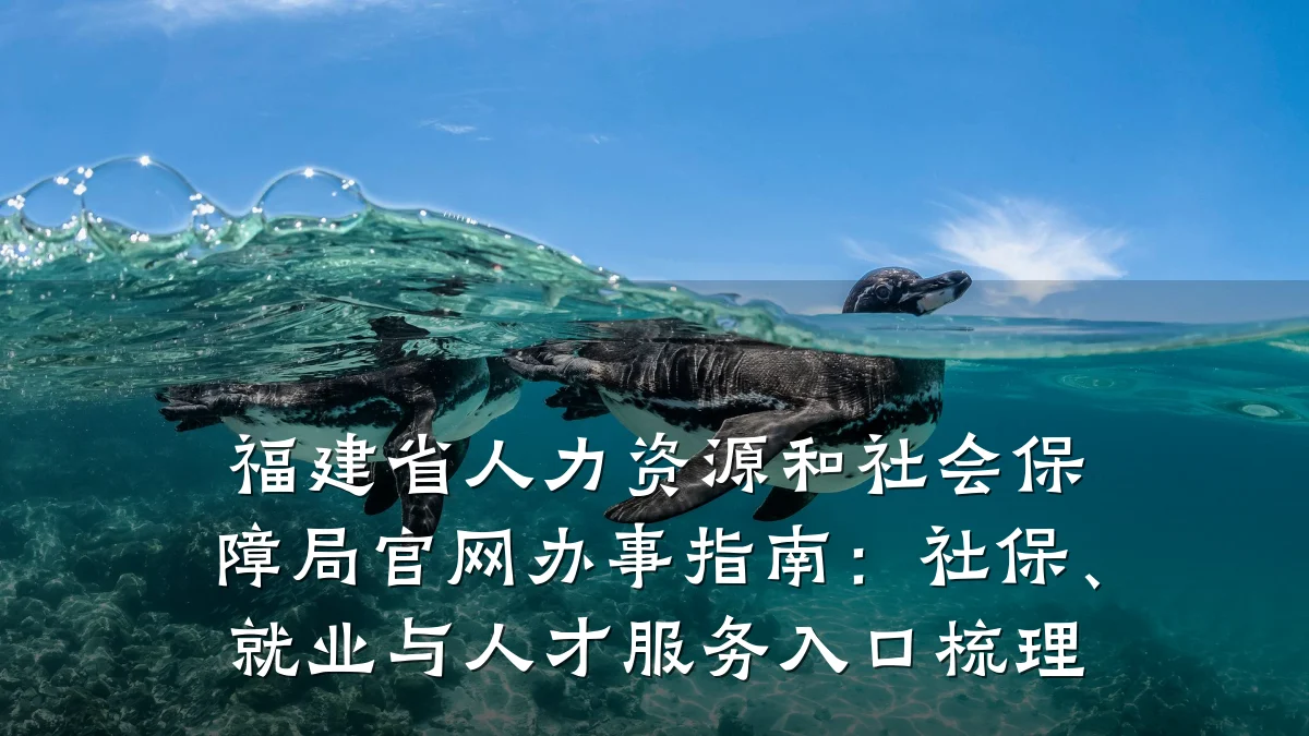 福建省人力资源和社会保障局官网办事指南:社保、就业与人才服务入口梳理