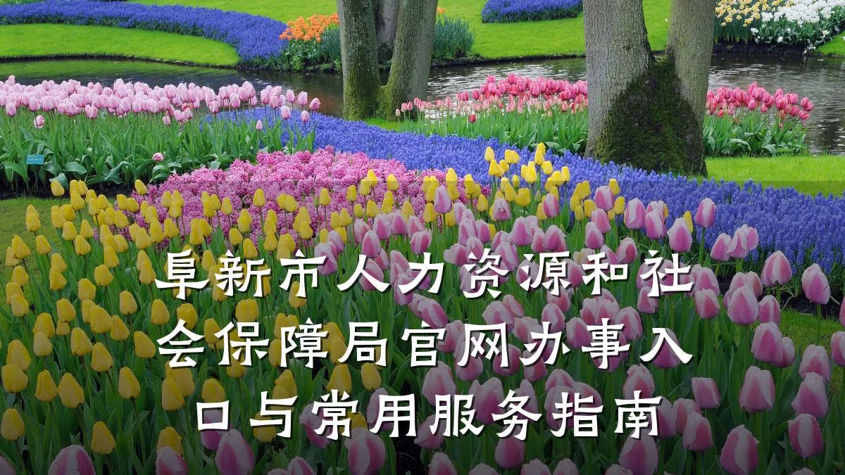阜新市人力资源和社会保障局官网办事入口与常用服务指南