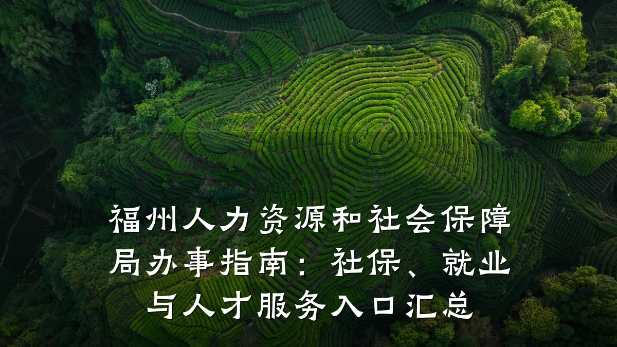 福州人力资源和社会保障局办事指南：社保、就业与人才服务入口汇总