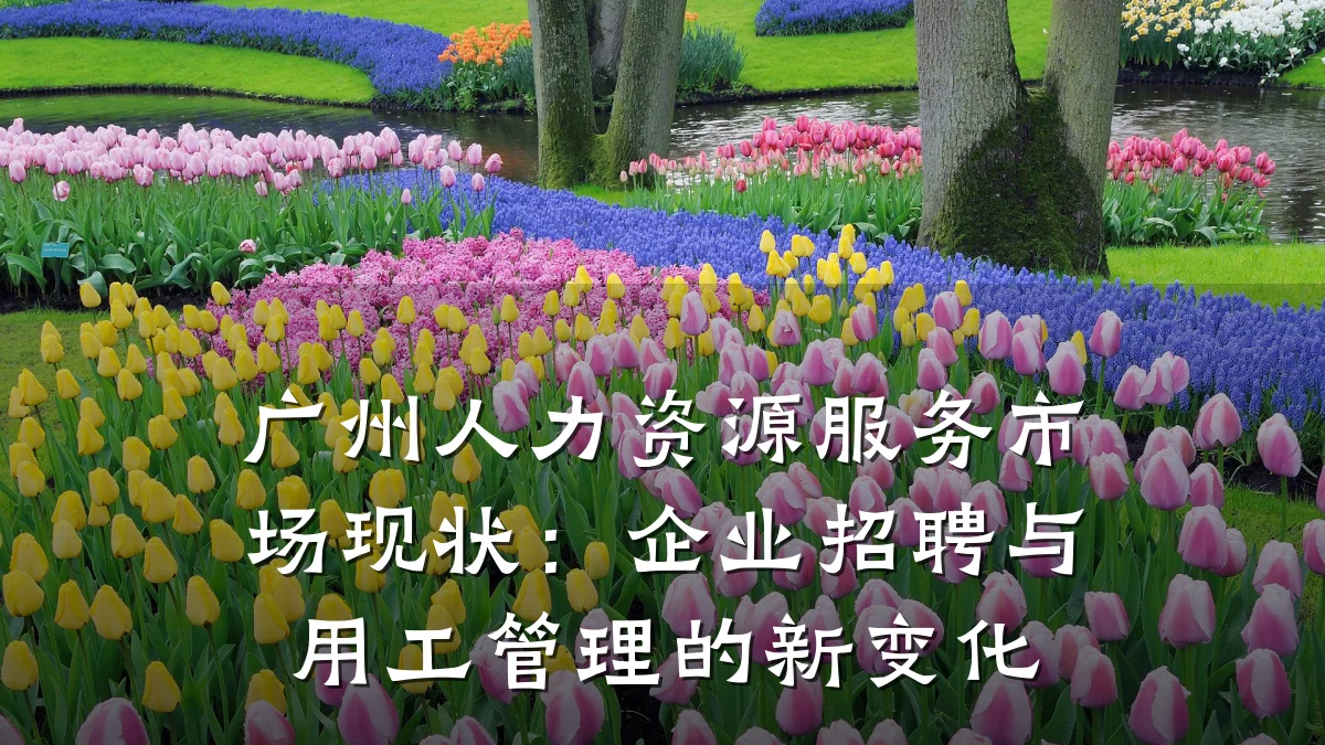 广州人力资源服务市场现状:企业招聘与用工管理的新变化