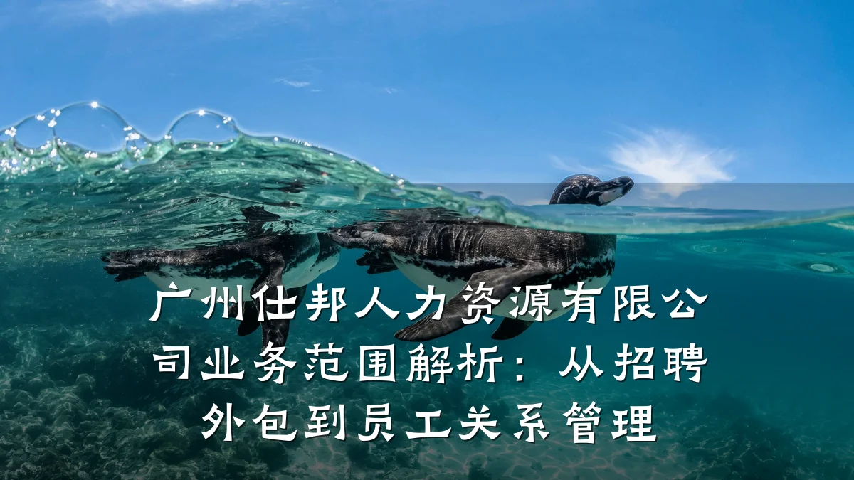 广州仕邦人力资源有限公司业务范围解析:从招聘外包到员工关系管理