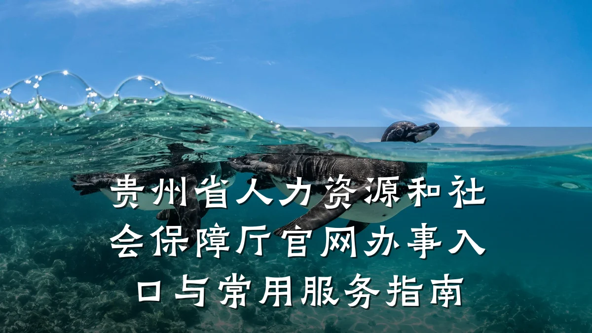 贵州省人力资源和社会保障厅官网办事入口与常用服务指南