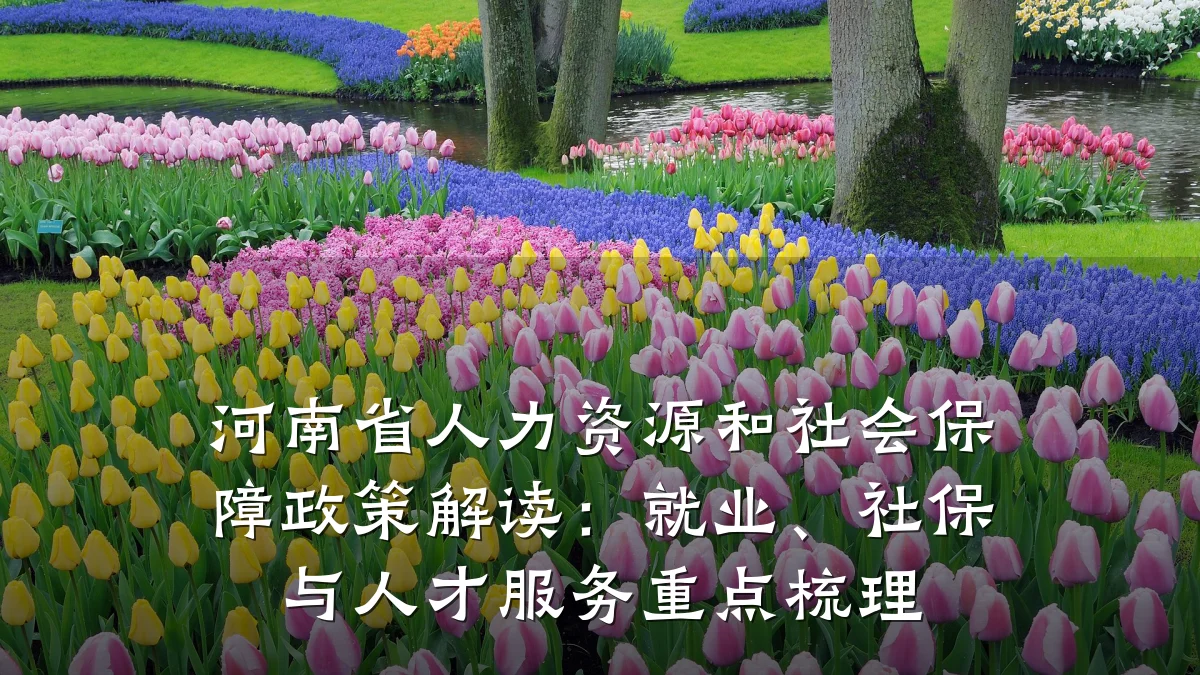 河南省人力资源和社会保障政策解读:就业、社保与人才服务重点梳理