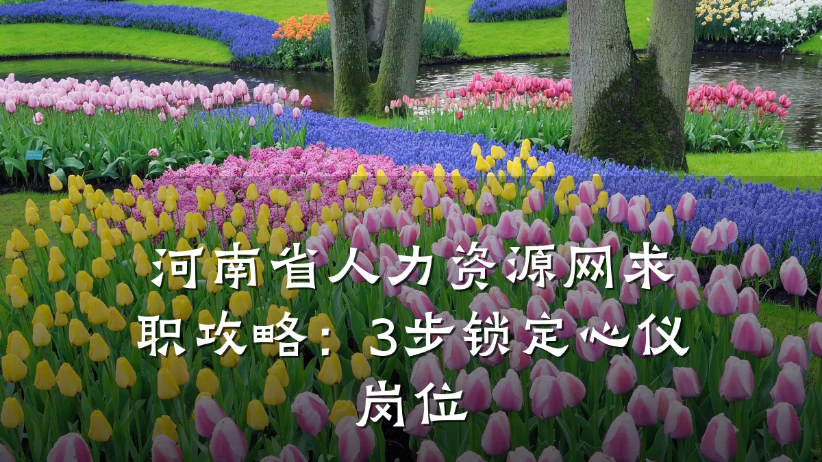 河南省人力资源网求职攻略:3步锁定心仪岗位