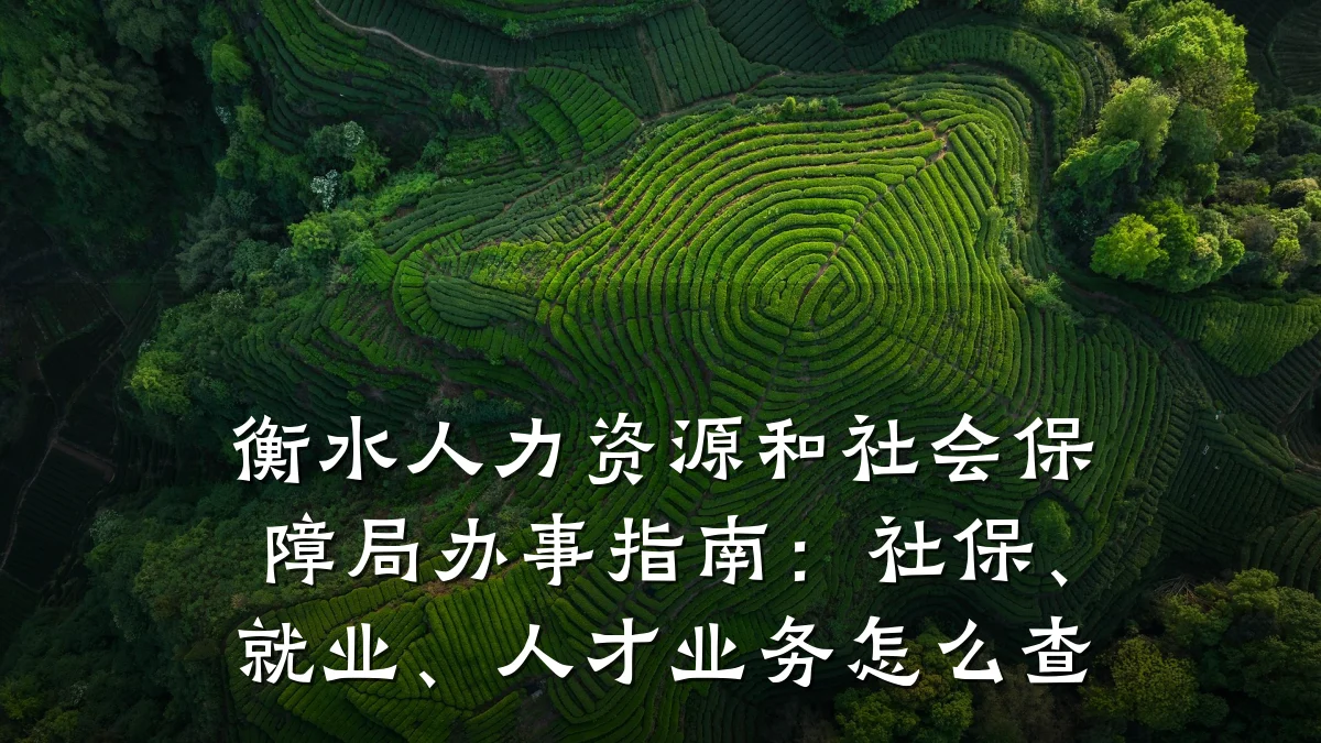 衡水人力资源和社会保障局办事指南:社保、就业、人才业务怎么查