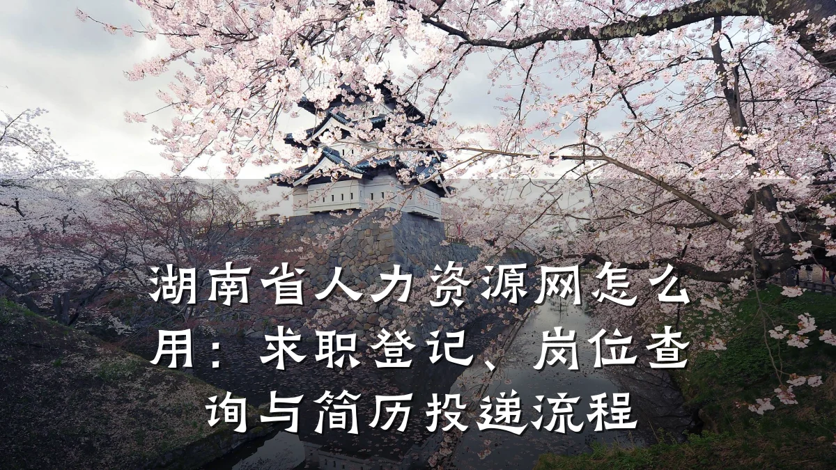 湖南省人力资源网怎么用:求职登记、岗位查询与简历投递流程