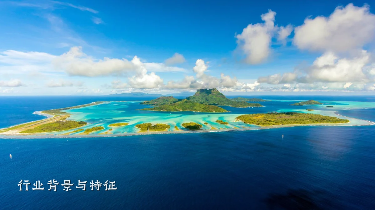 行业背景与特征