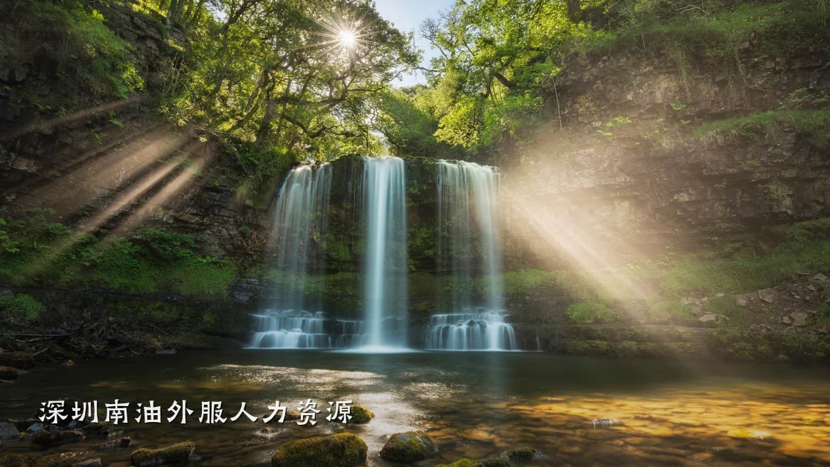 深圳南油外服人力资源