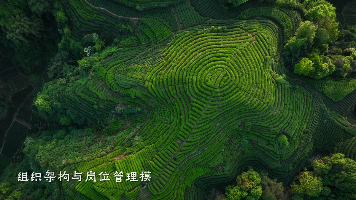 组织架构与岗位管理模