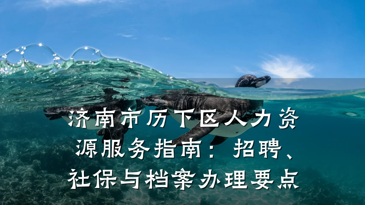 济南市历下区人力资源服务指南:招聘、社保与档案办理要点