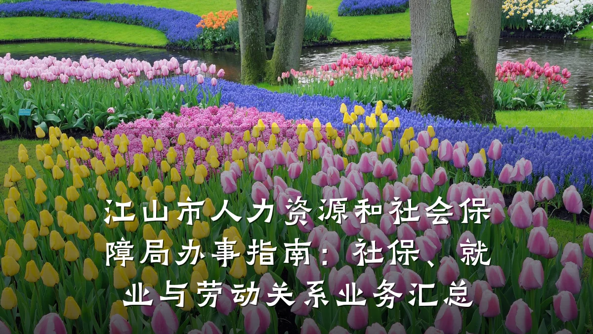 江山市人力资源和社会保障局办事指南:社保、就业与劳动关系业务汇总