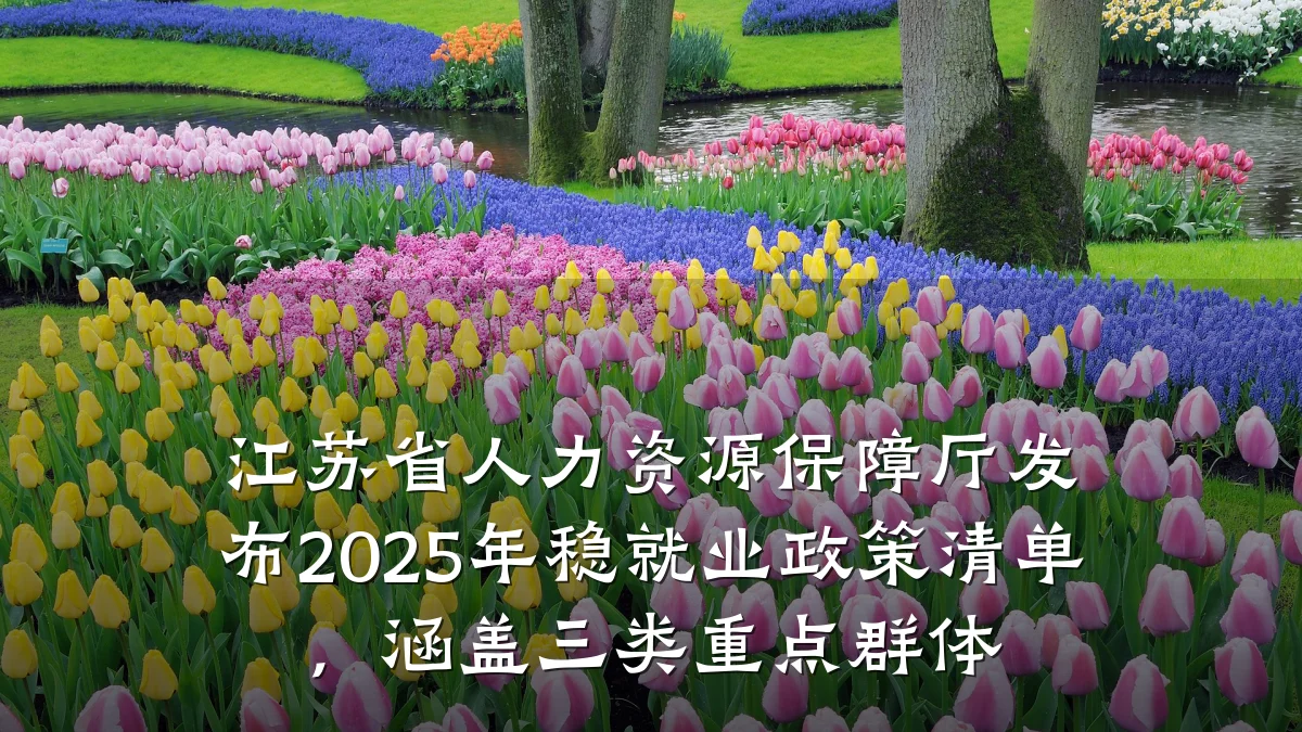 江苏省人力资源保障厅发布2025年稳就业政策清单，涵盖三类重点群体