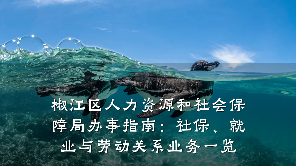 椒江区人力资源和社会保障局办事指南:社保、就业与劳动关系业务一览