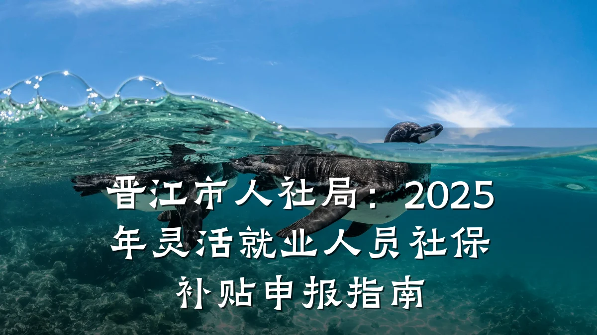 晋江市人社局:2025年灵活就业人员社保补贴申报指南