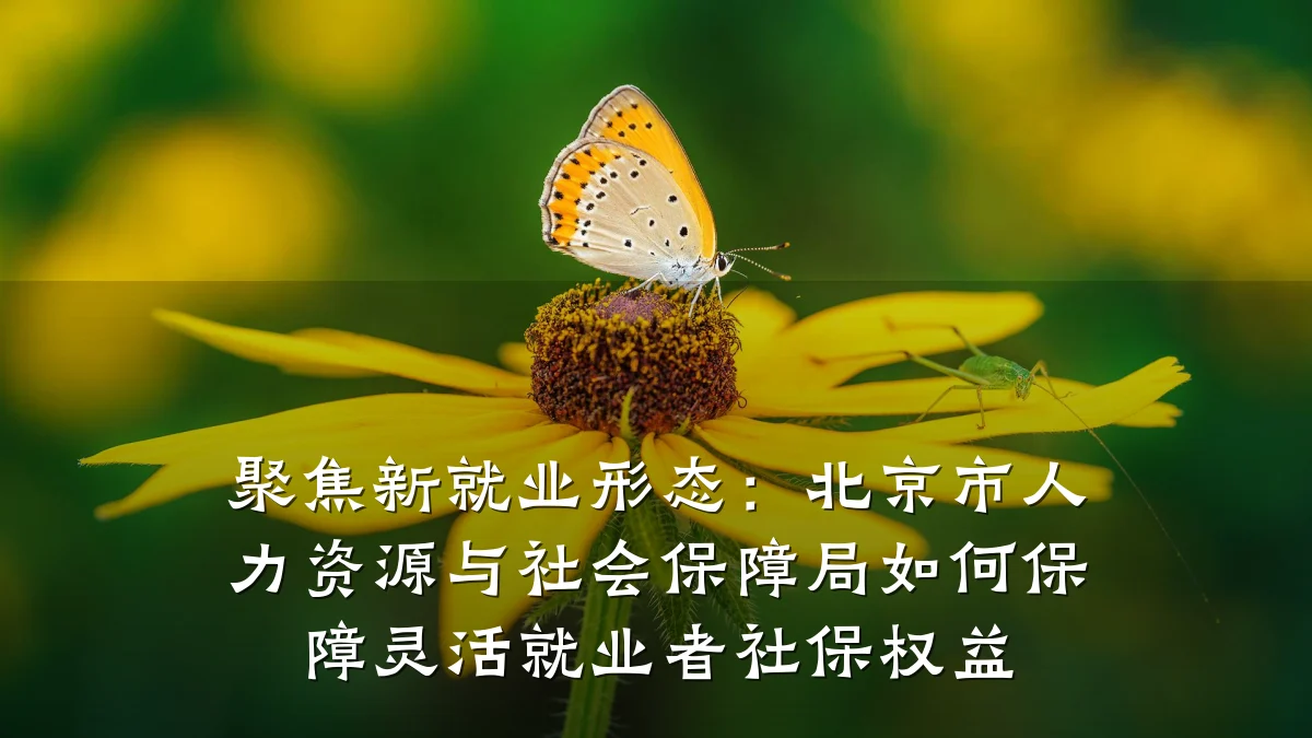 聚焦新就业形态：北京市人力资源与社会保障局如何保障灵活就业者社保权益