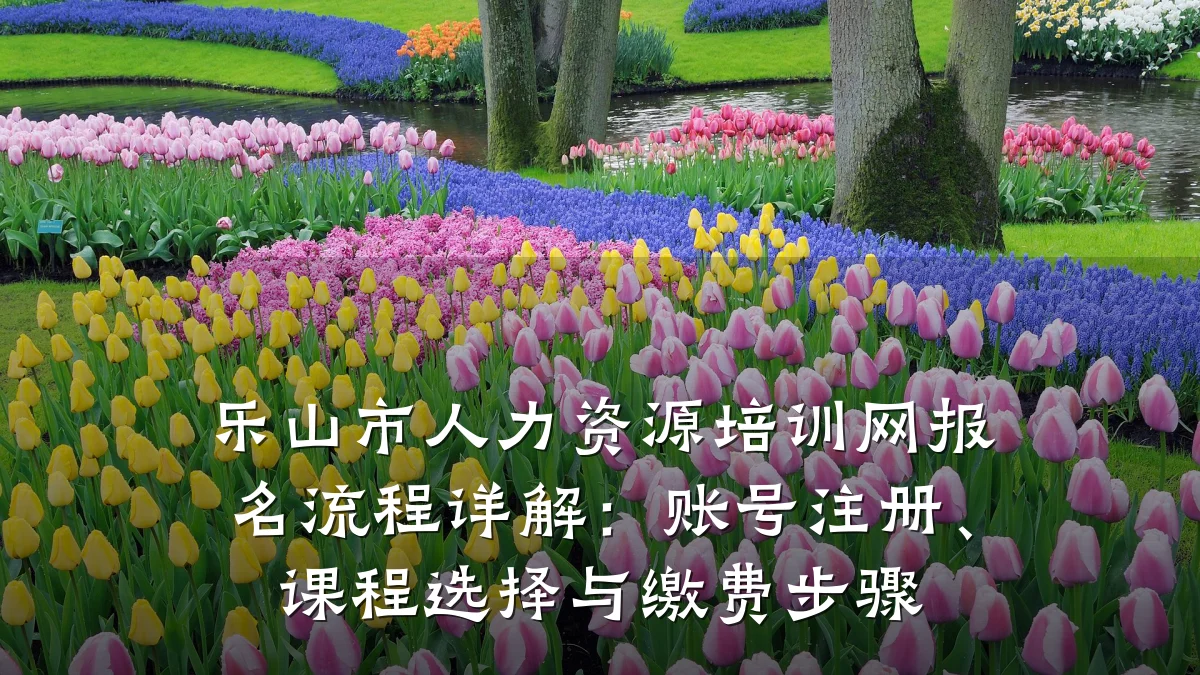 乐山市人力资源培训网报名流程详解:账号注册、课程选择与缴费步骤