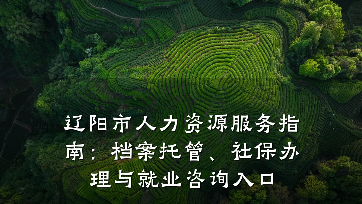 辽阳市人力资源服务指南:档案托管、社保办理与就业咨询入口