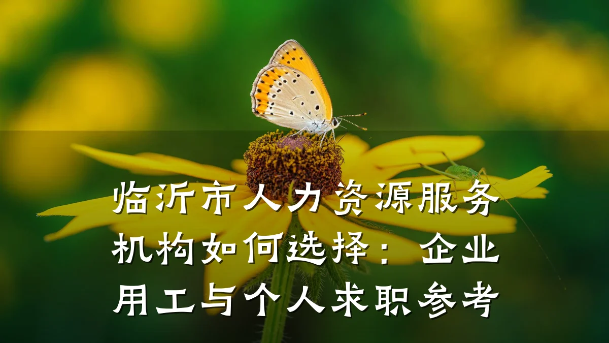 临沂市人力资源服务机构如何选择:企业用工与个人求职参考