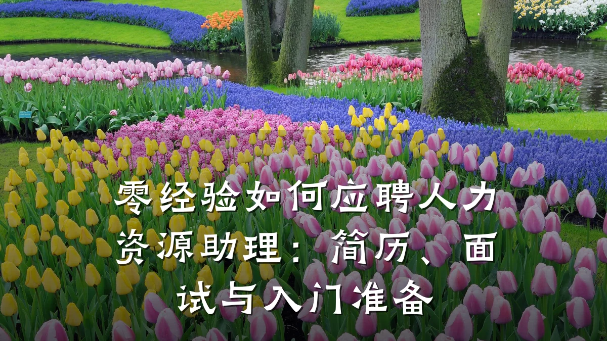零经验如何应聘人力资源助理:简历、面试与入门准备
