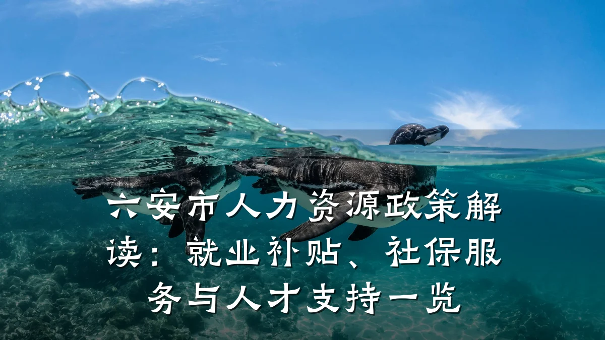 六安市人力资源政策解读：就业补贴、社保服务与人才支持一览