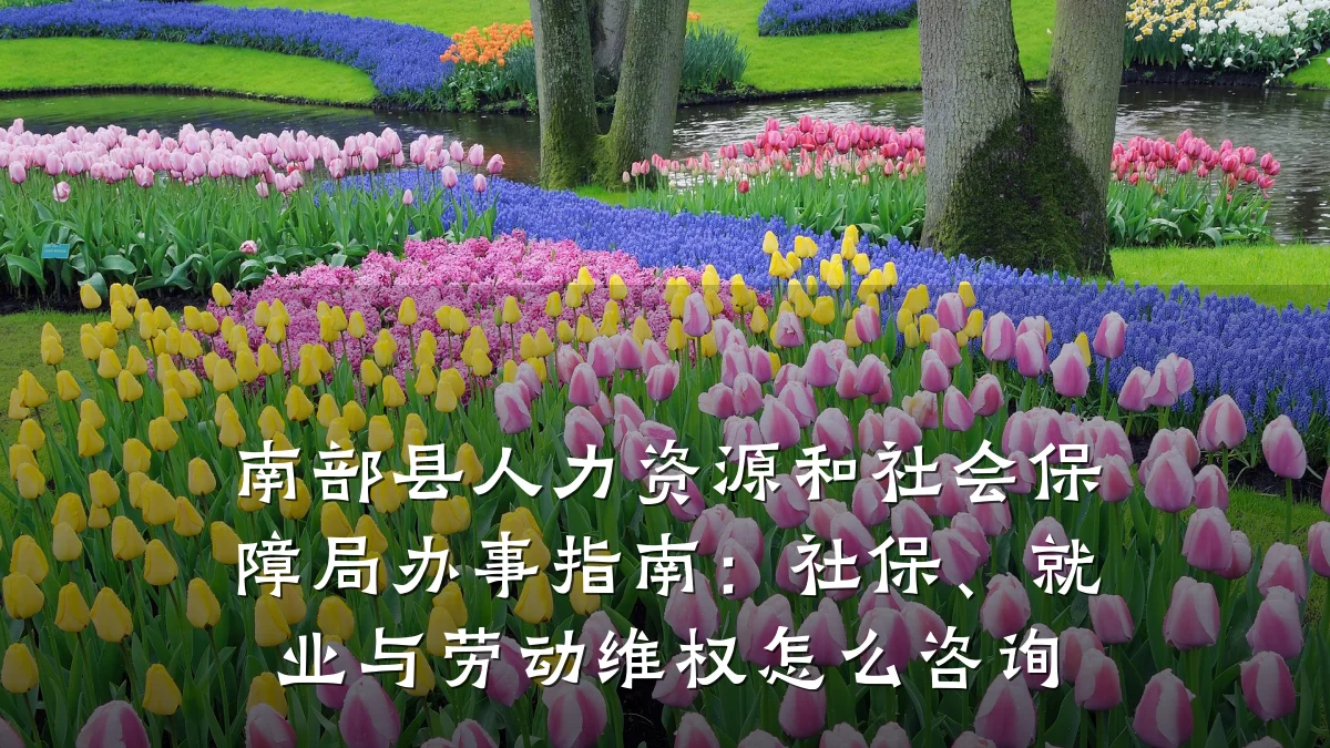 南部县人力资源和社会保障局办事指南：社保、就业与劳动维权怎么咨询