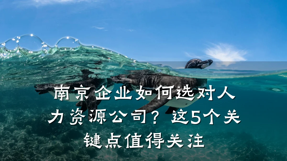 南京企业如何选对人力资源公司?这5个关键点值得关注
